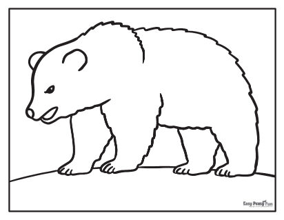 Bear Coloring Sheet