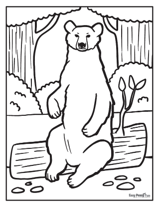 Realistic bear coloring pages