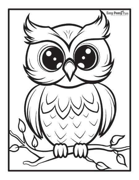 Color the Owl