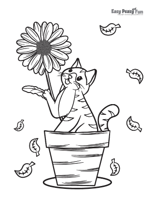 Cat Playing With a Flower