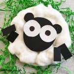 Cute Sheep Paper Plate Craft