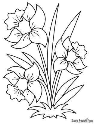 Daffodils Coloring Page