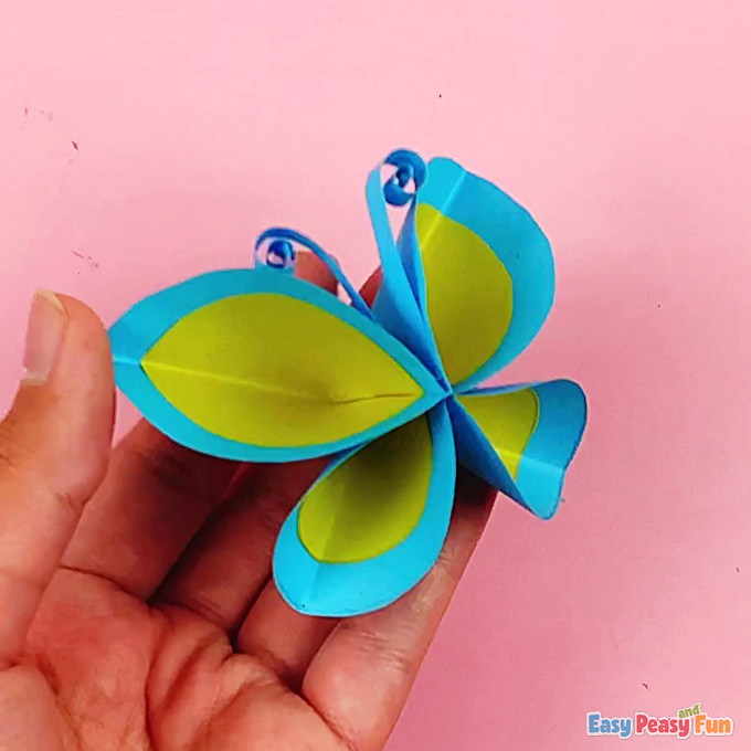 DIY Paper Circle Butterfly Craft