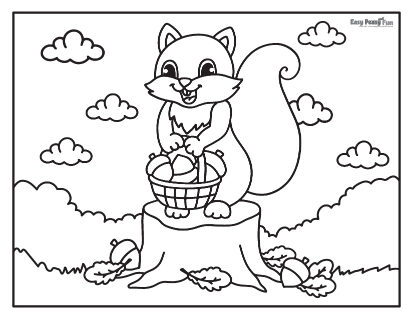 Squirrel and Basket