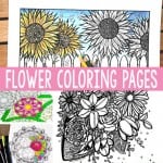 Flower Coloring Pages for Adults