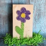 Flower String Art for Begginers