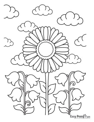 Flower Coloring Pages - Sunflower