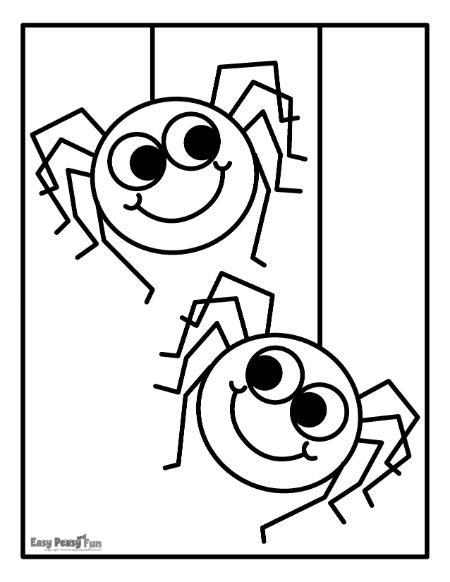 Friendly Spiders