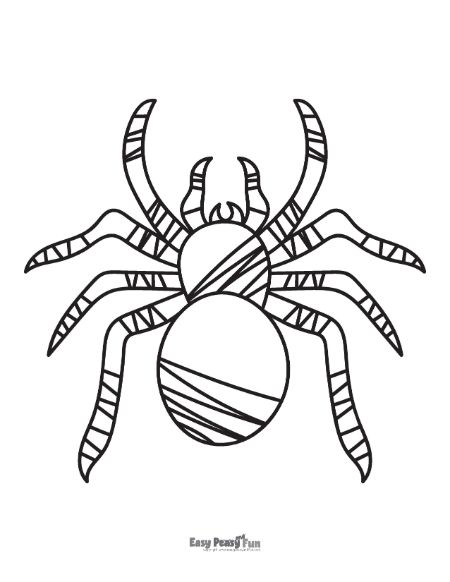 House Spider Coloring Sheet