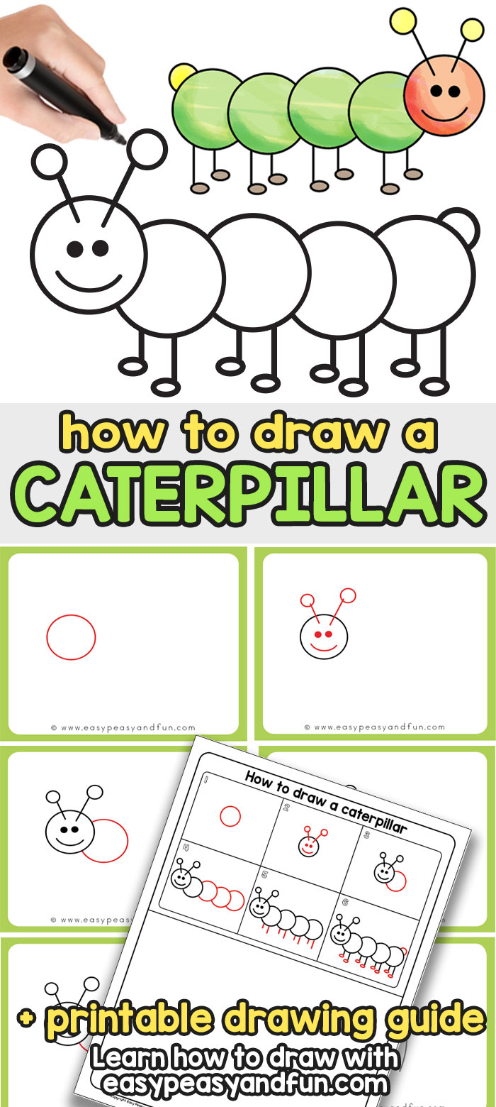 How to Draw a Caterpillar Step by Step Directed Drawing for Kids and Beginners