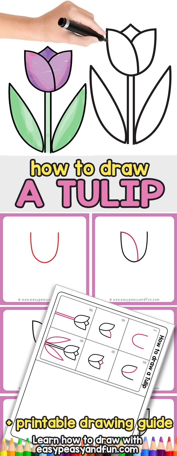 How to Draw a Tulip - Easy Step By Step Drawing Tutorial for Kids
