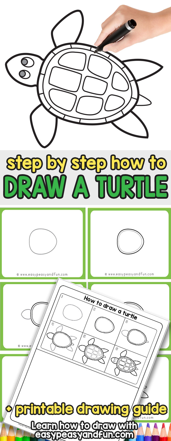 How to Draw a Turtle step by step tutorial for kids and beginners