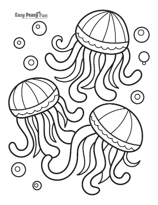 Group of Jellyfish
