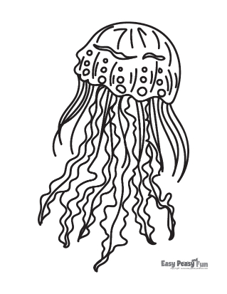 Undersea Animal Coloring Page