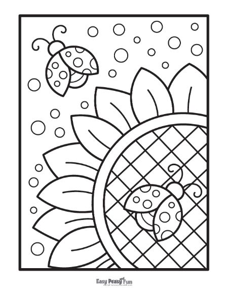 Sunflower and Ladybugs Coloring Page