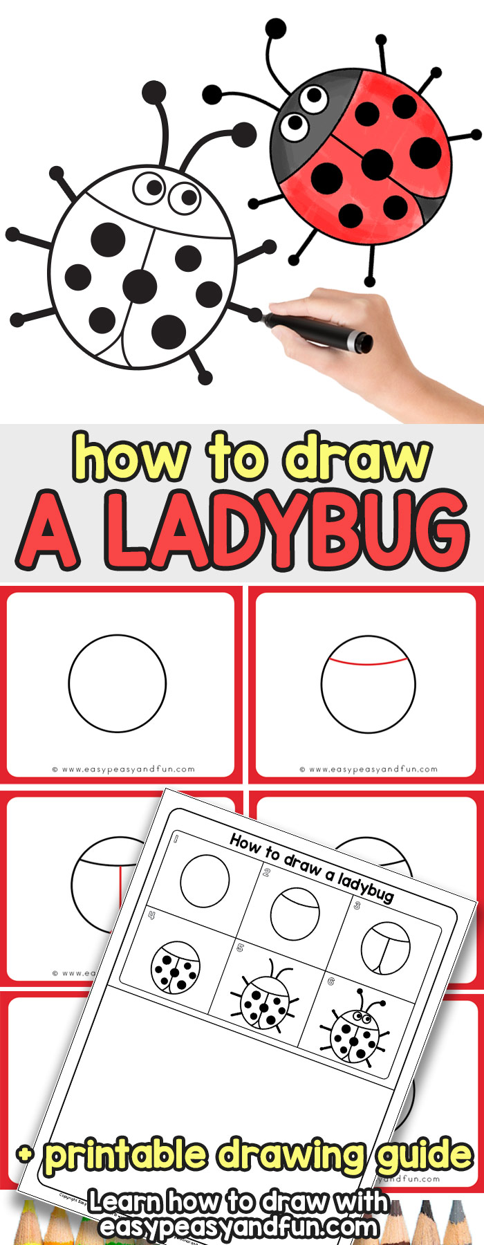 Learn How to Draw a Ladybug - Simple Step by Step Tutorial for Kids