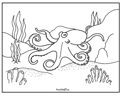 Realistic Octopus Coloring Pages