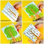 Printable Four Season Agamograph Craft