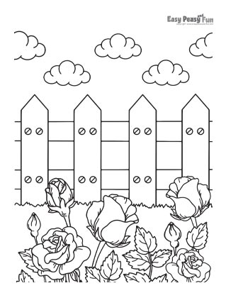 Roses in Garden Coloring Page