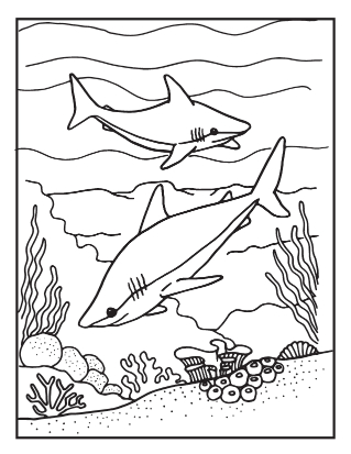 Realistic Shark Coloring Pages