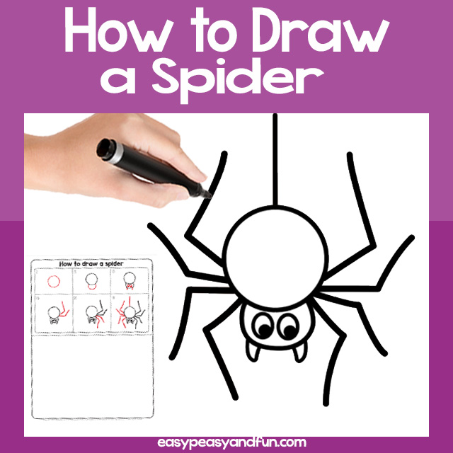 How to Draw a Spider