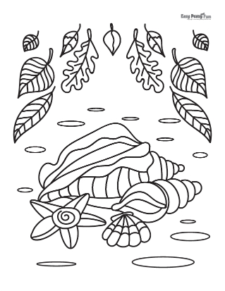 Seashells and Leaves