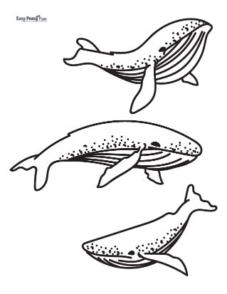 Three Whales Coloring Sheet