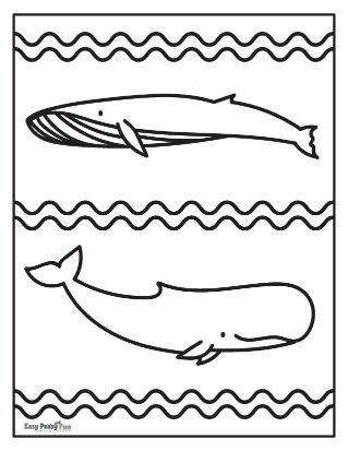 Whales Coloring Page