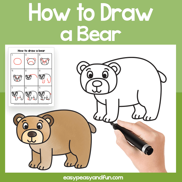 How to draw a bear