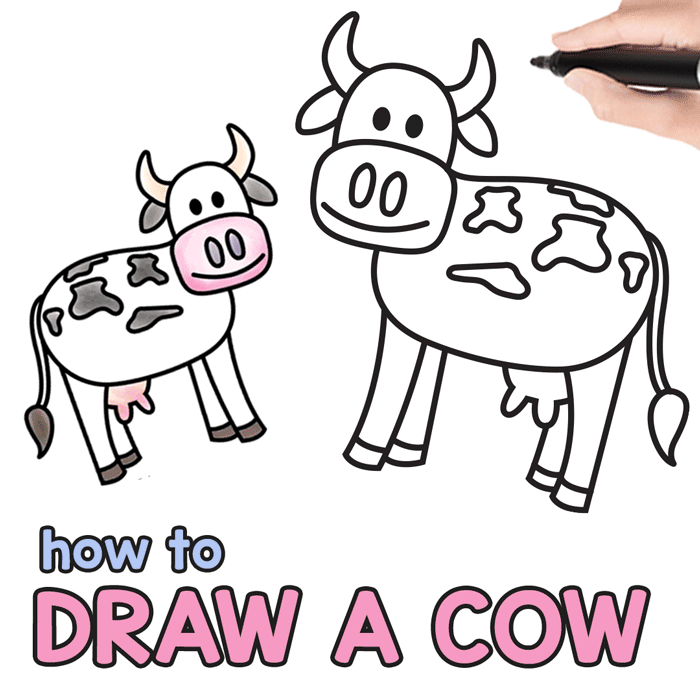How to Draw a Cow Easy Cow Drawing Instructions