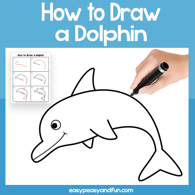 How to Draw a Dolphin