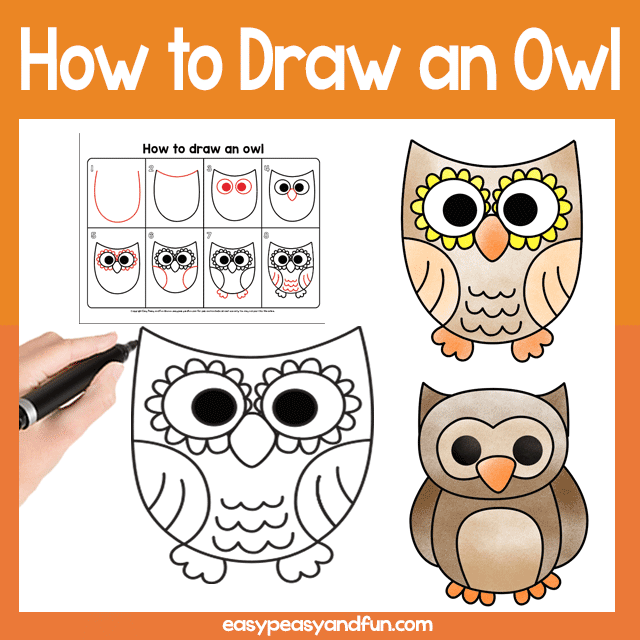 How to Draw an Owl