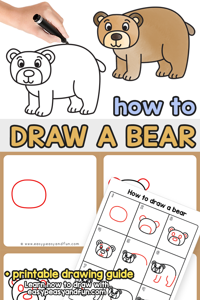 How to Draw a Bear Step by Step Tutorial