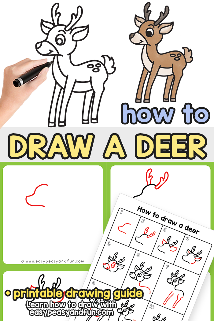 How to Draw a Deer Step by Step Tutorial