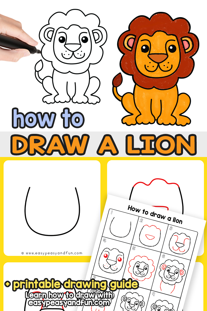 How to Draw a Lion Step by Step Tutorial