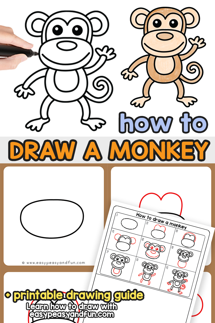 How to Draw a Monkey Step by Step Tutorial