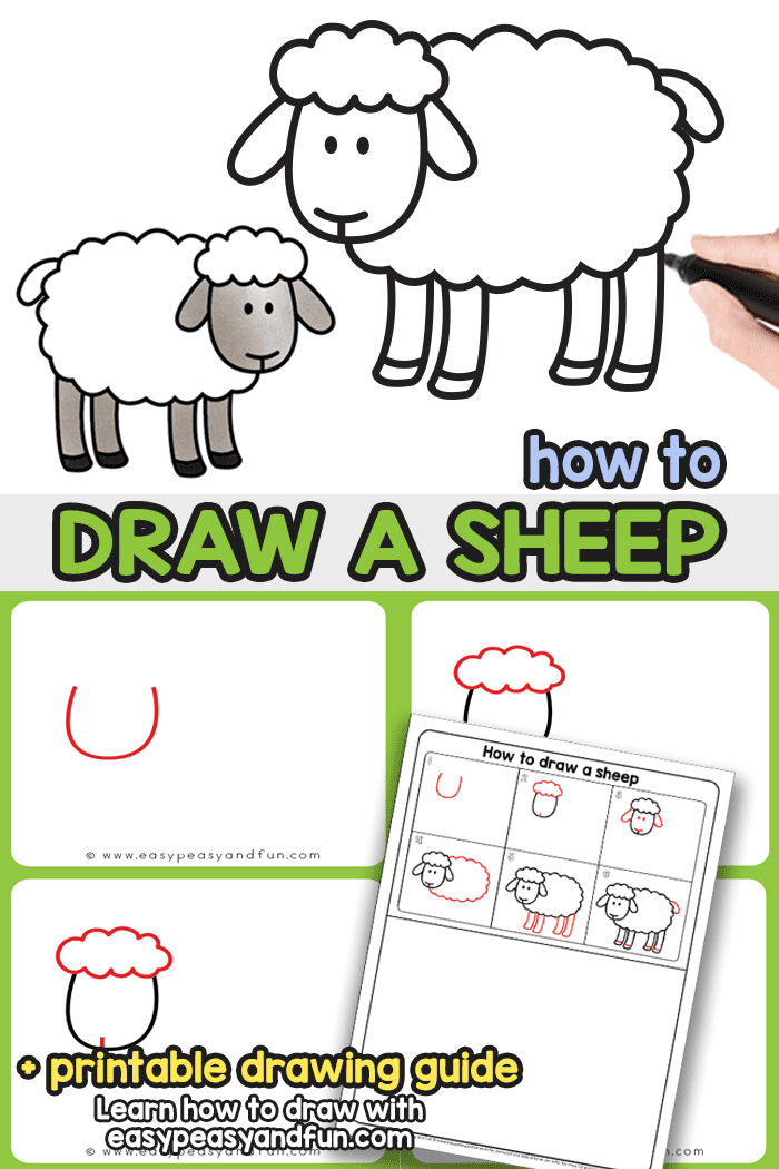 How to Draw a Sheep Step By Step Drawing Tutorial. This easy sheep drawing tutorial (with directed drawing printable) will have you learn how to draw a sheep in no time. 