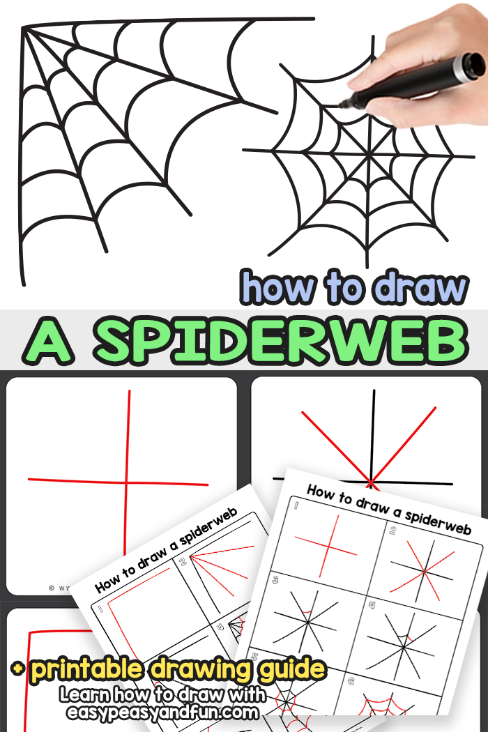 How to Draw a Spiderweb Step by Step Tutorial