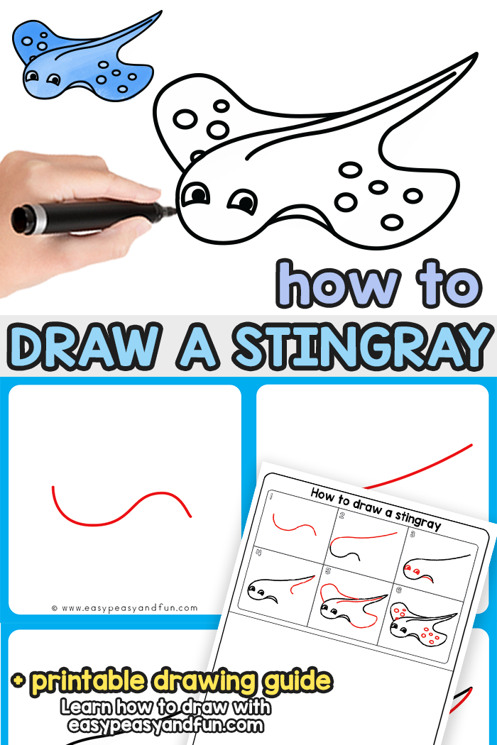 How to Draw a Stingray Step by Step Tutorial