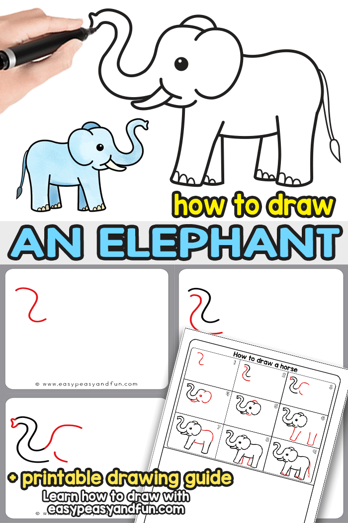 How to Draw an Elephant. A step by step elephant drawing tutorial (and directed drawing printable) that will teach you how to draw an easy cartoon style elephant. Such an adorable one.
