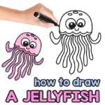 Jellyfish Directed Drawing Guide