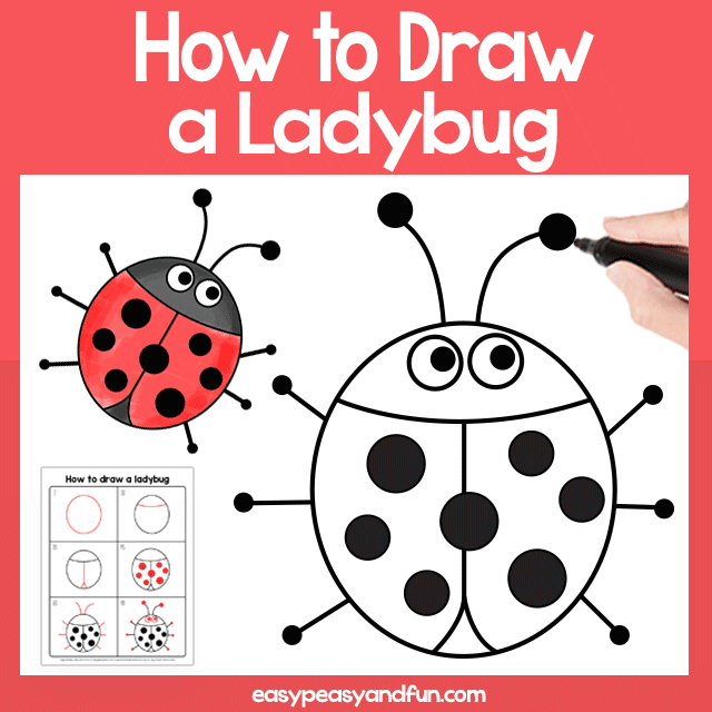 How to Draw a Ladybug