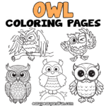 Printable Owl Coloring Sheets