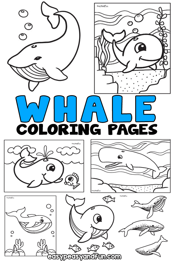 Printable Whale Coloring Pages