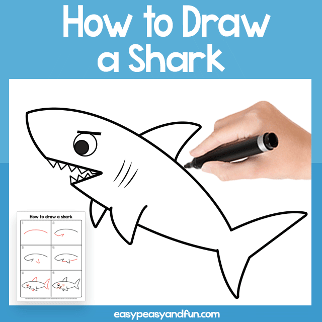 How to Draw a Shark