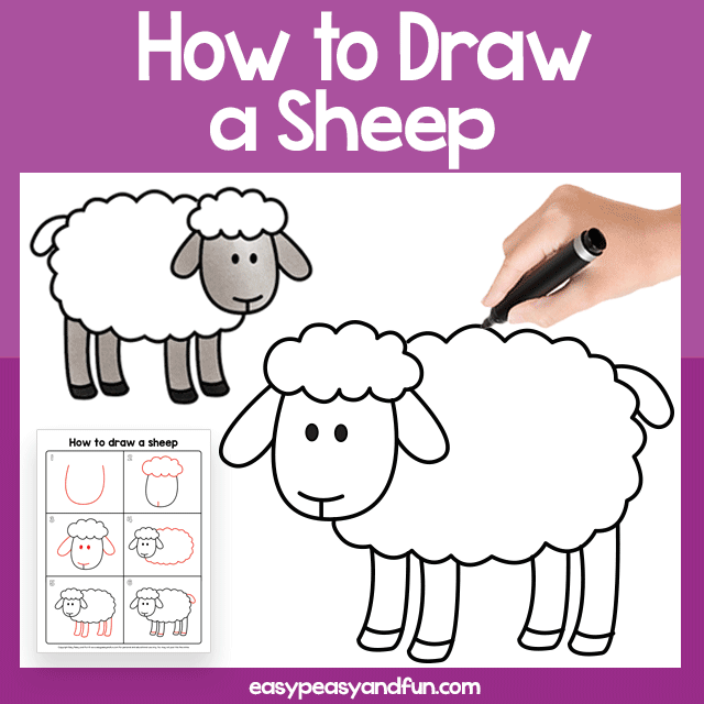 How to Draw a Sheep