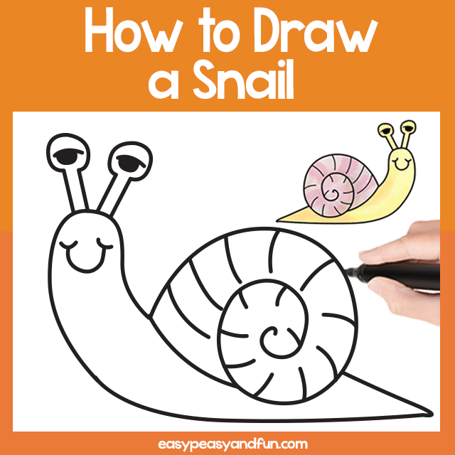 How to Draw a Snail