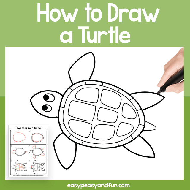 How to Draw a Turtle