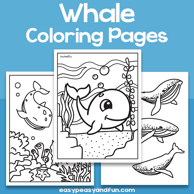 Whale Coloring Sheets