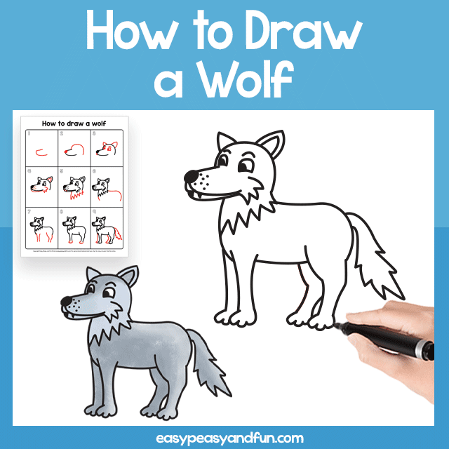 How to Draw a Wolf